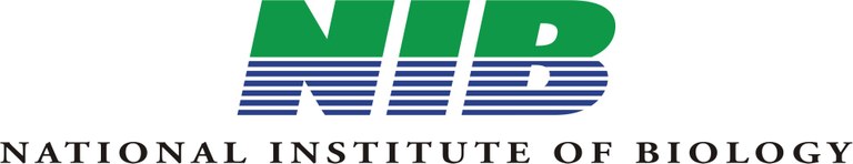NIB logo-en