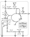 eryModel