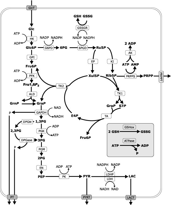 eryModel