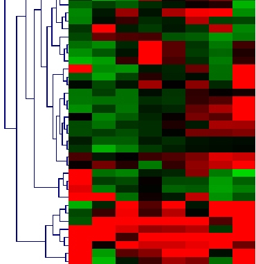 Heatmap