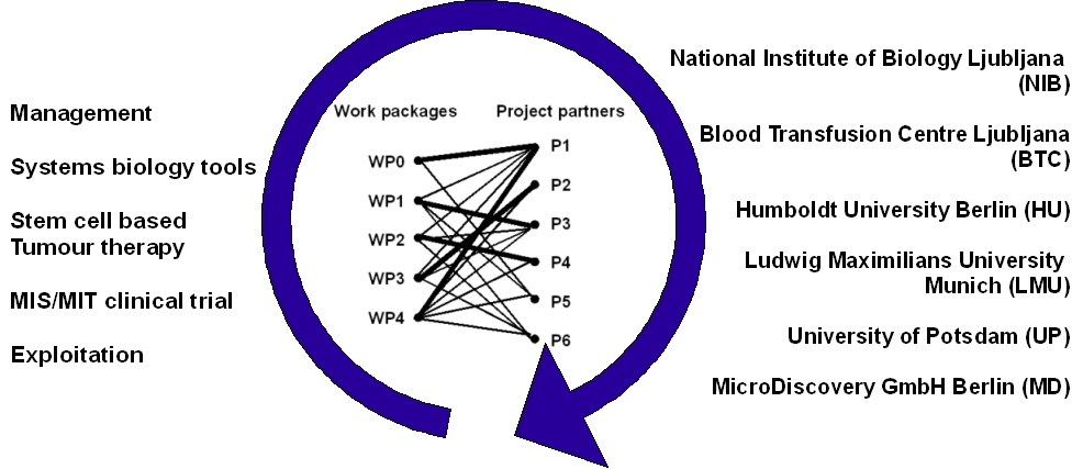 workPackages_partners