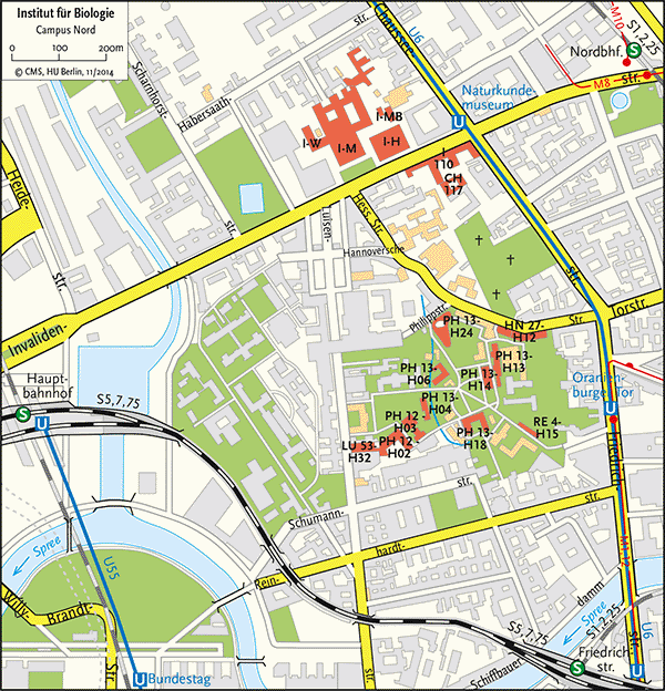 Lageplan Mitte