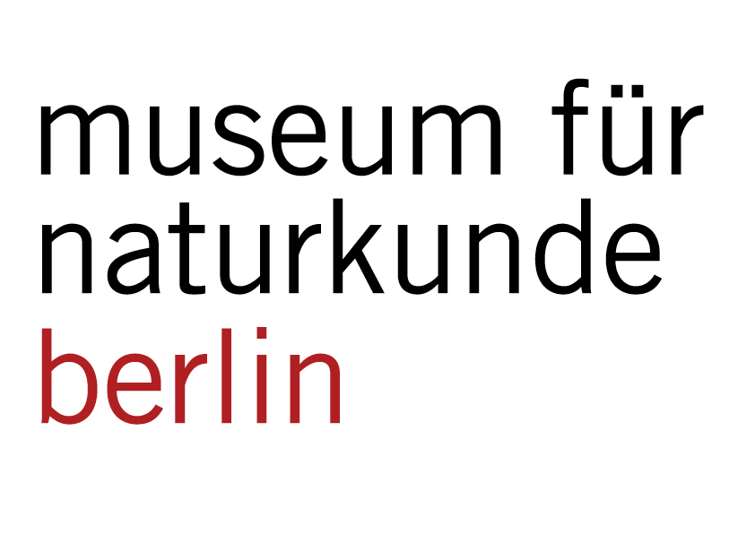 logo-mfn.gif