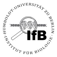 Logo IfB, alter Entwurf