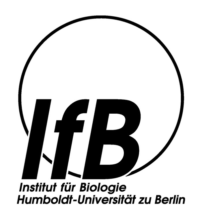 IfB-Logo