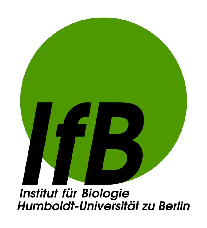 IfB-Logo