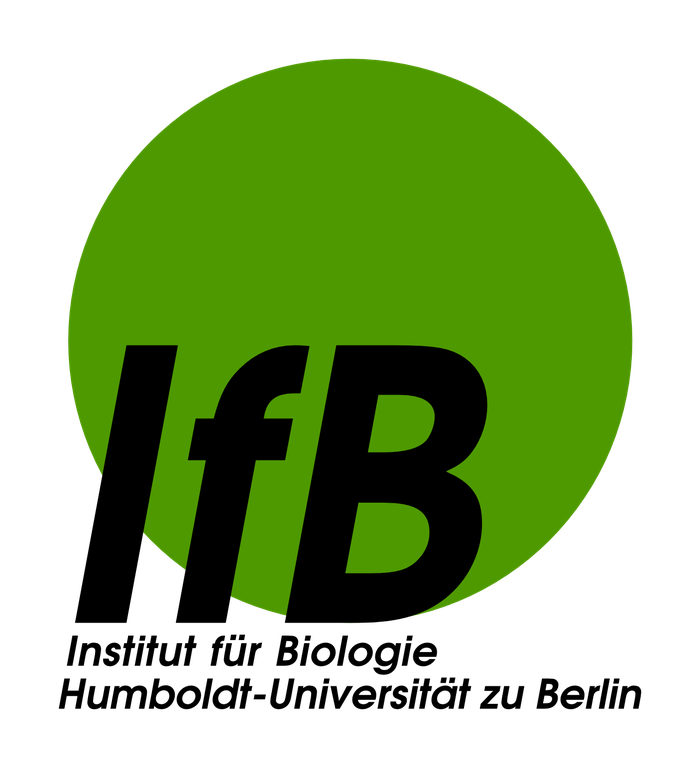 IfB-Logo