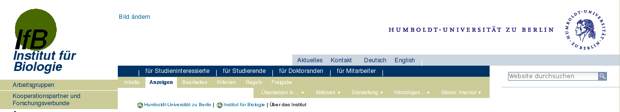 IfB-7.png