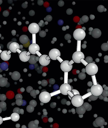 prof-hegemann_experimbiophys_from-website.jpg