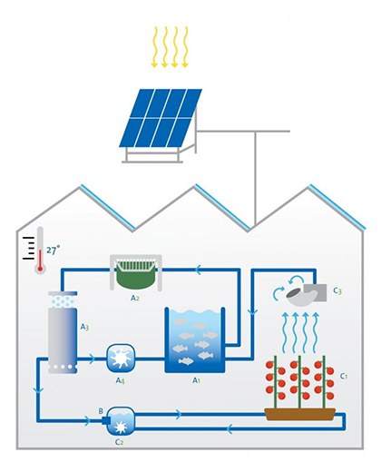 prof-kloas_endoecoaqua_from-website.jpg