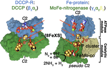 Jeoung-PNAS-2022web.png