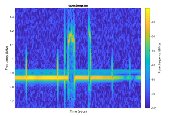Figure2-EOD chirps- Apteronotus leptorynchus.png