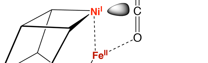 AG Dobbek Nature Catalysis.png