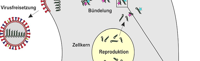 AG Herrmann Nature