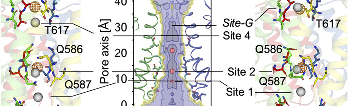 AG Plested in PNAS.png