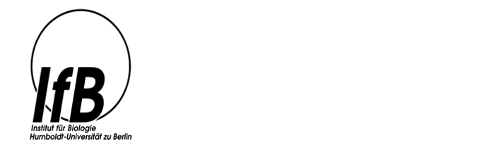 IfB sw Logo