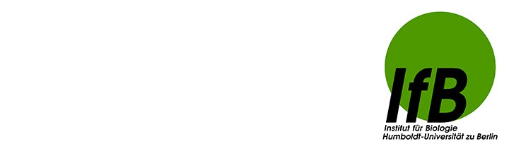 logo für banner.jpg