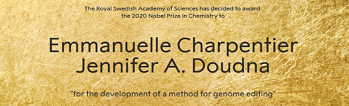 Nobel 2020 