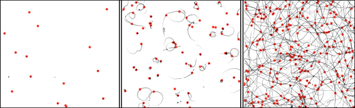 PNAS Publikation- AG Erhardt.png