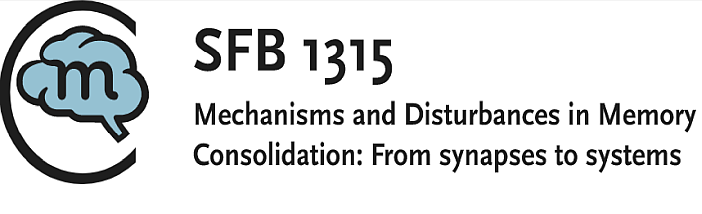 SFB Logo II.png