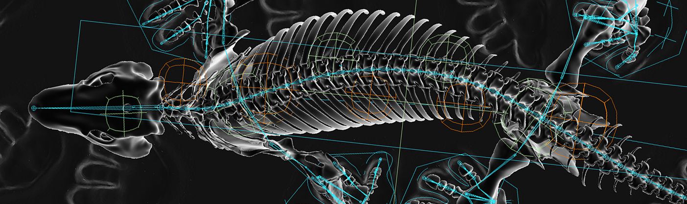 Vom Fossil zum Roboter und zurück